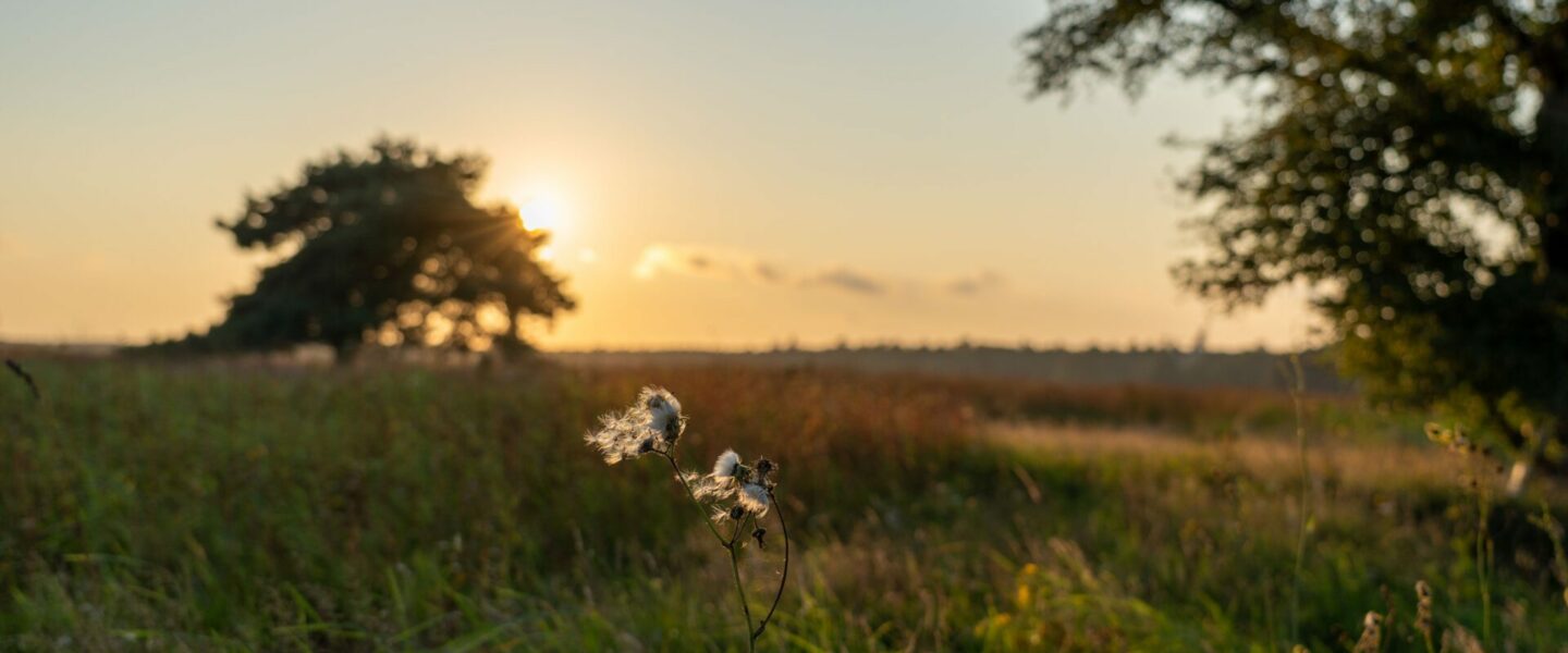zonsondergang op de hei