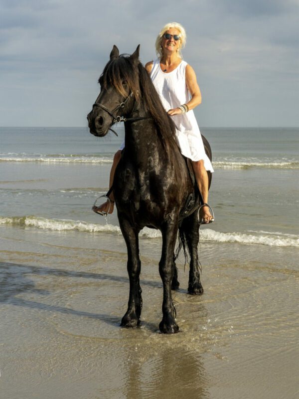 Paard Terschelling